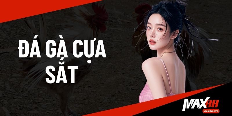 Đá Gà Cựa Sắt