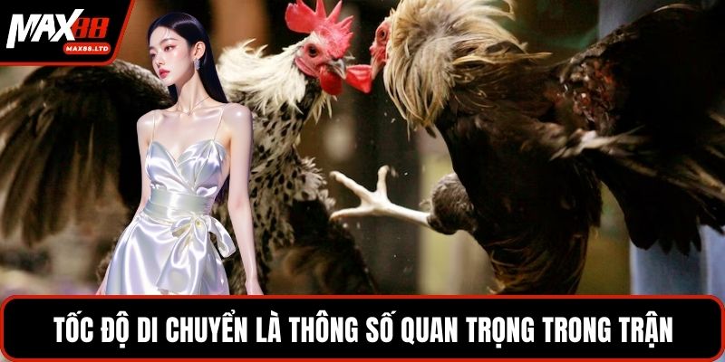 Tốc độ di chuyển là thông số quan trọng trong trận